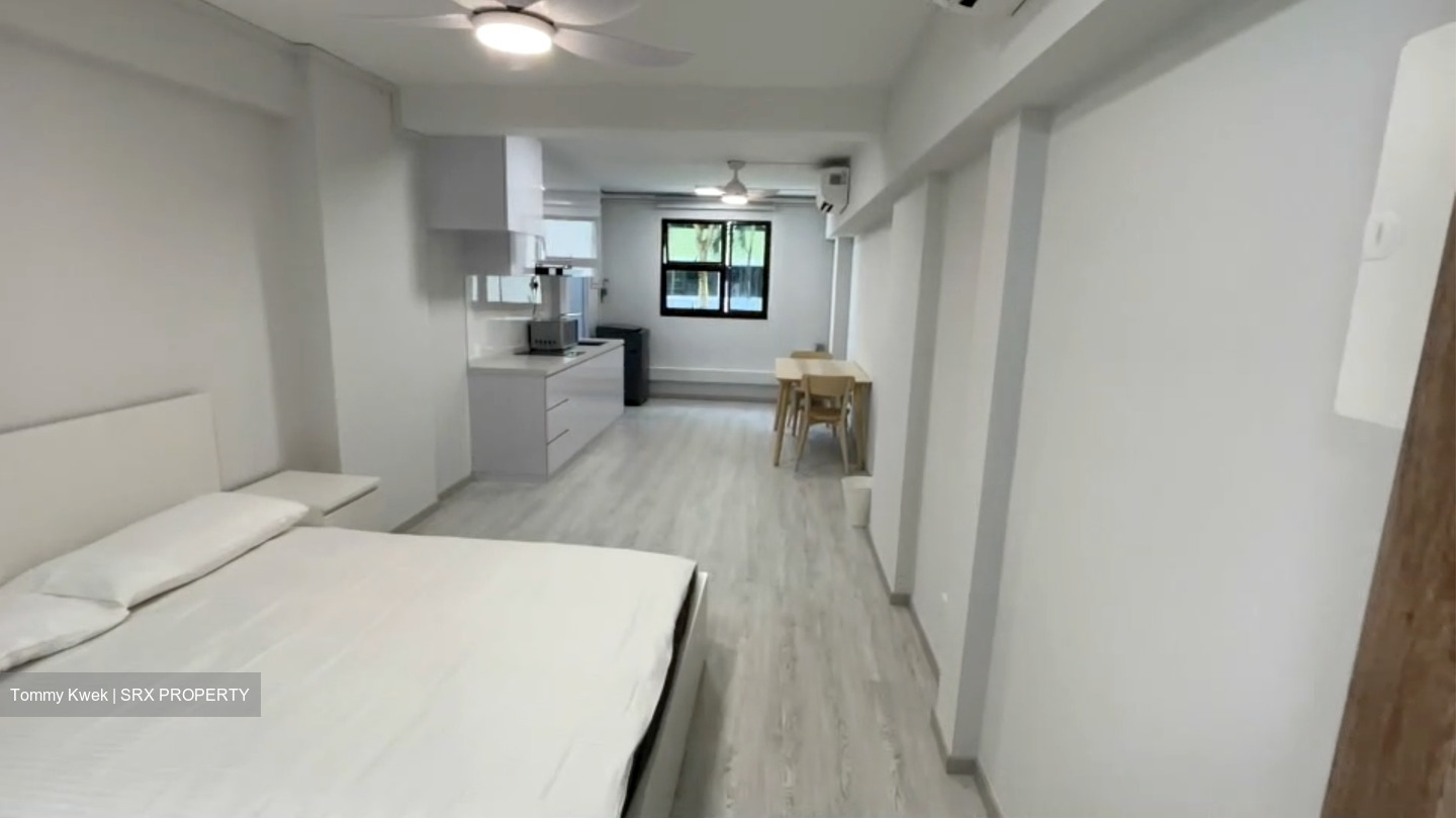 Blk 22 Havelock Road (Bukit Merah), HDB 2 Rooms #599621551
